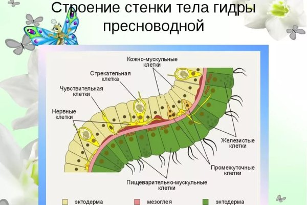Не заходит на кракен