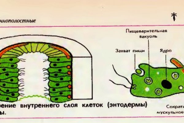 Кракен адрес супернет