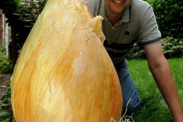 Нарко маркетплейсы