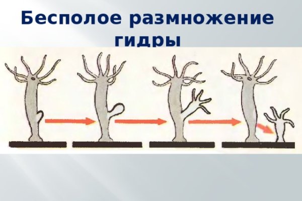 Кракен маркет супернет только через стор