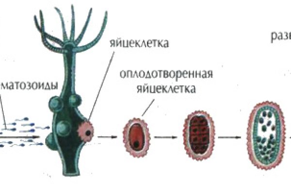 Нарко сайт кракен