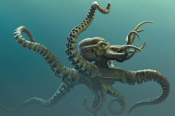 Kraken com супернет