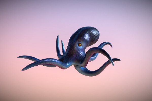 Kraken market