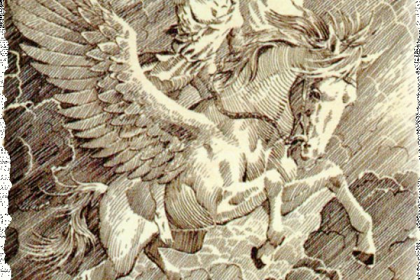Тор для кракена