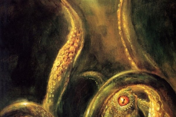 Kraken 21at