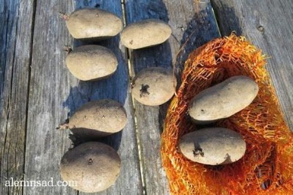 Вход в кракен чтобы купить счастье