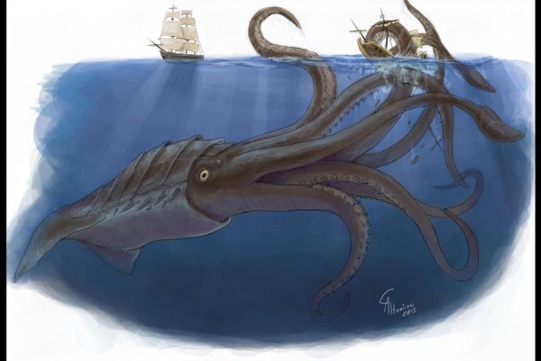Маркетплейс кракен kraken whitenet top