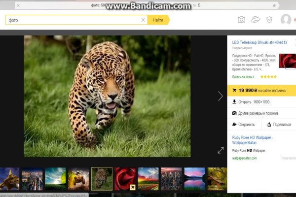 Кракен тор kr2web in